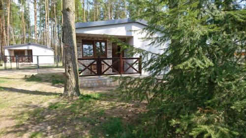 gmina Zakrzewo Casa | Domek letniskowy SZWED-POL
