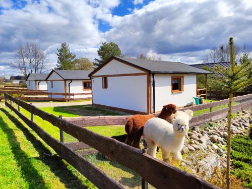 Lapalice Casa | Domek na Słonecznikowej