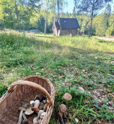 Cisna Apartamento | Domek w lesie DiABELSKi KOCiOŁEK