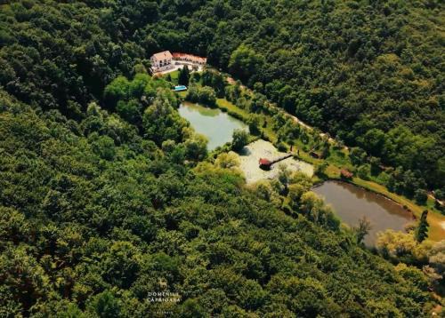 Savarsin Cabina | Domeniul Caprioara