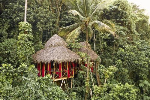 Samana Complejo | Dominican Tree House Village
