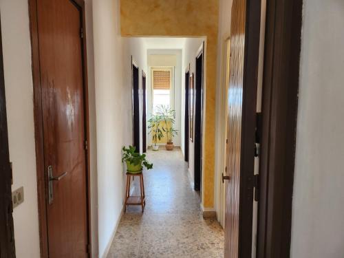 Guspini Apartamento | Domus Olimpo