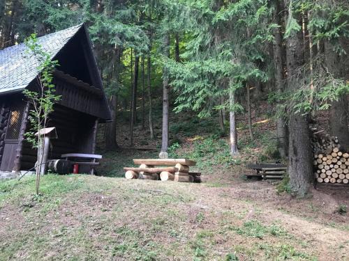 Zelezniki Chalet De Esquí | Dotik gozda