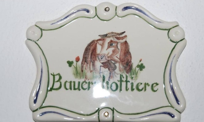 Vorderstoder Otro | Habitación doble "animales de granja" con baño / WC - granja para bebés y niños Zamsegg