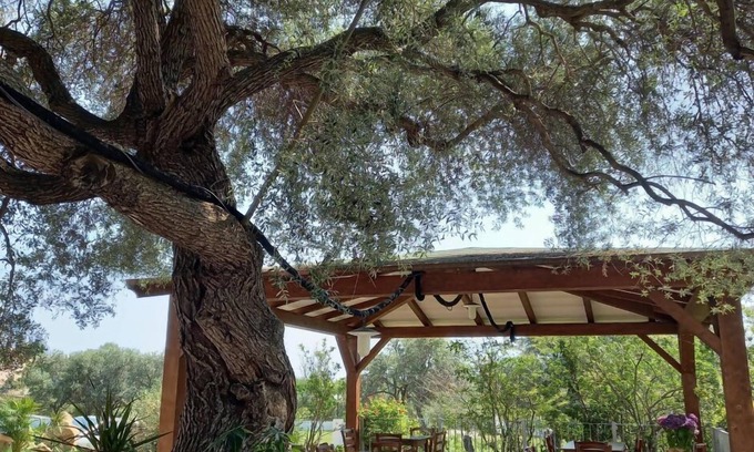 Limpiddu Apartamento | Double room with extra bed