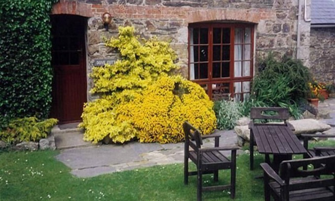 Chapel Amble Cabaña | Dove Cottage, Homeleigh Granja
