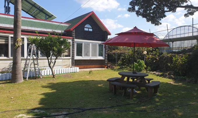 Aewol Casa | Dove house