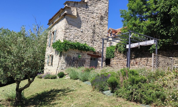 Caylus Casa | Palomar de felinos "calma y naturaleza"