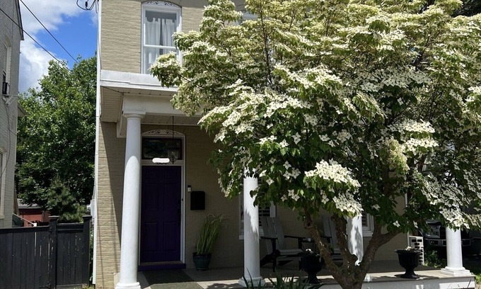Downtown Casa | Downtown Frederick Charm w/ Modern Comfort - Walk to Market St! Rare SF w/ Yard
