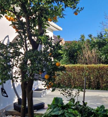 Loviste Apartamento | DOWNTOWN GARDEN