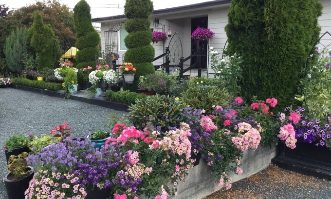 Regional District of Nanaimo Casa | Downtown Parksville at The Bent Tree!