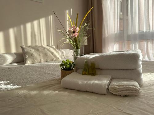 Concepcion Apartamento | Dpto 2 dormitorios Cercano Aeropuerto, Concepción
