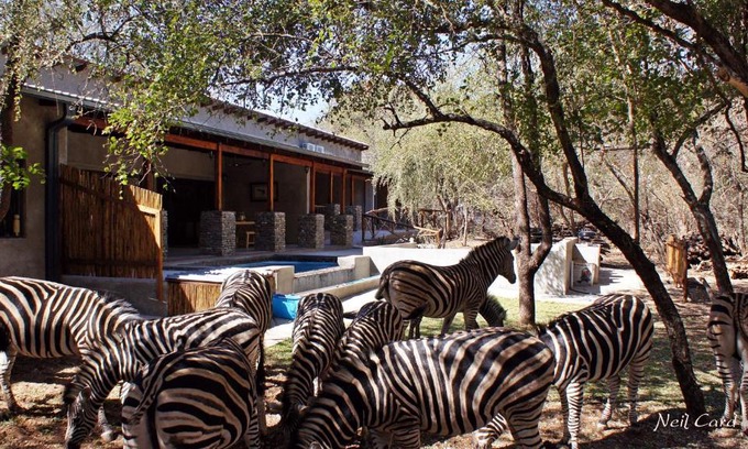 Marloth Park Cabina | Dream of Africa Bush Lodge