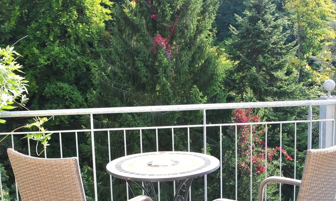 Baden-Baden Apartamento | Dream view, balcony and close to nature