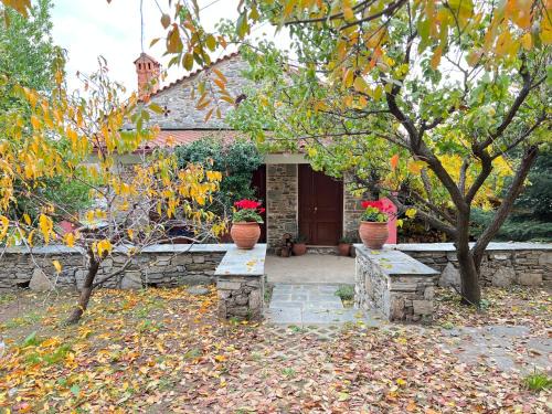 Agia Casa | Dreamy Cottage