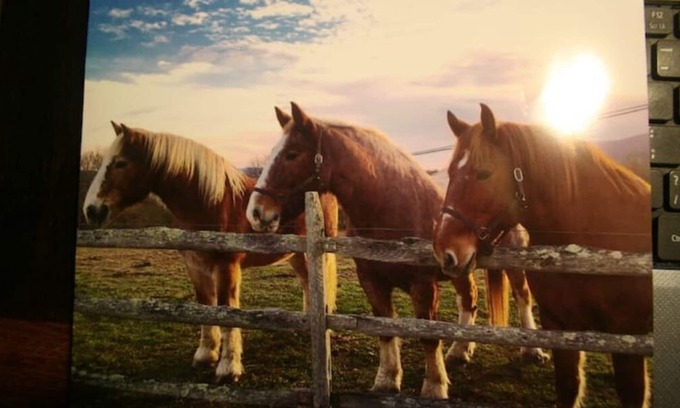 Marlinton Casa | Drennen Ridge Farm Guest House