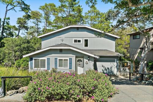 Marine Terrace Casa | Dreydon Cottage