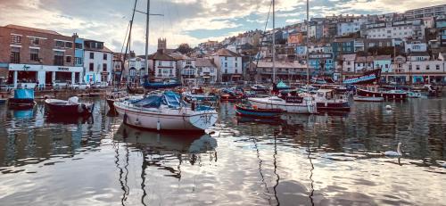 Brixham Cama Y Desayuno | Driftwood B&B