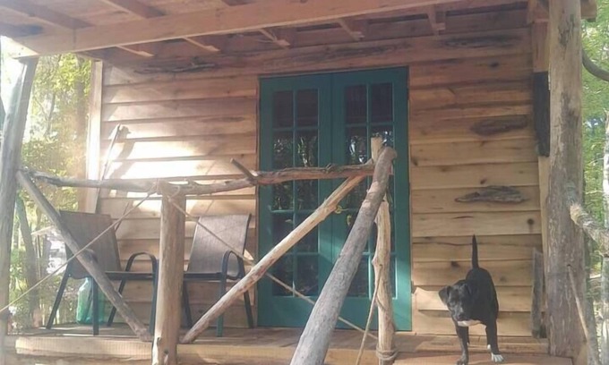 Ozone Cabina | Driftwood Treehouse Cabin w/Fireplace & Privacy