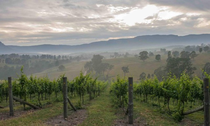 Megalong Valley Cabina | DRYRIDGE ESTATE - Sunrise Lodge