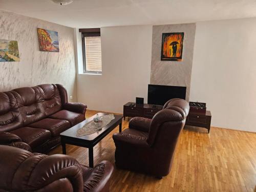 Pluzine Apartamento | DSM & Victory