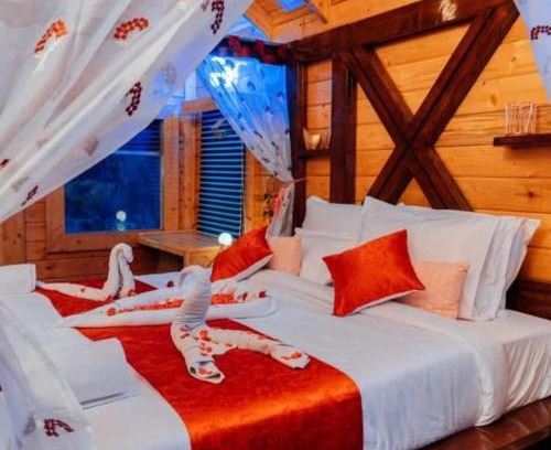 Kukatpalli Casa | DSR Wooden Cottages