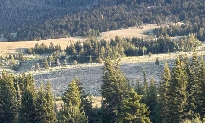 Dubois Casa | Dubois/Wind River Paradise Cabin
