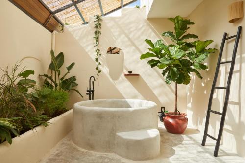 Ocean Park Apartamento | DUNA by DW