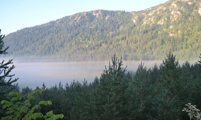 Zabljak Cabaña | Durmitor beauty chambre dans le Chalet et partage de la vie montagnarde