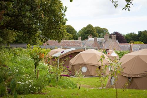 Trinity Otro | Durrell Wildlife Camp