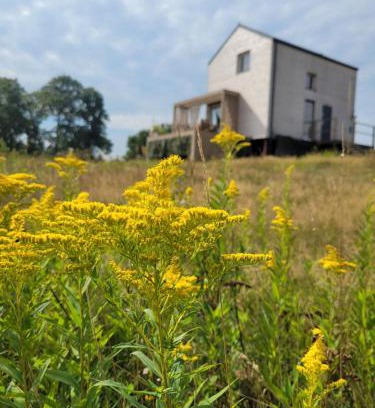 Pieniezno Casa | Dzika Warmia- Retreat in the Wild