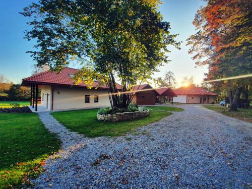 Sanok Apartamento | Dziubanowo