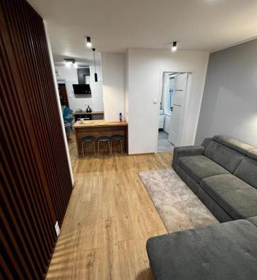 Orneta Apartamento | Dziupla