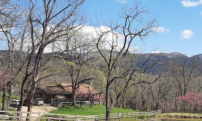 Elkton Cabina | EL ÁGUILA Log Cabin en Mountaintop Ranch