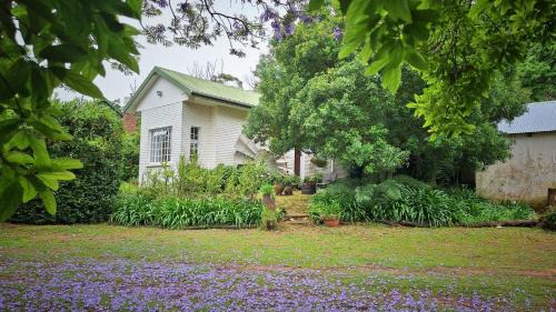 Port Elizabeth Chalet De Esquí | Eagle Owl Cottage