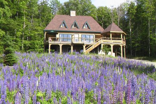 Greenville Chalet De Esquí | Eagle's Nest