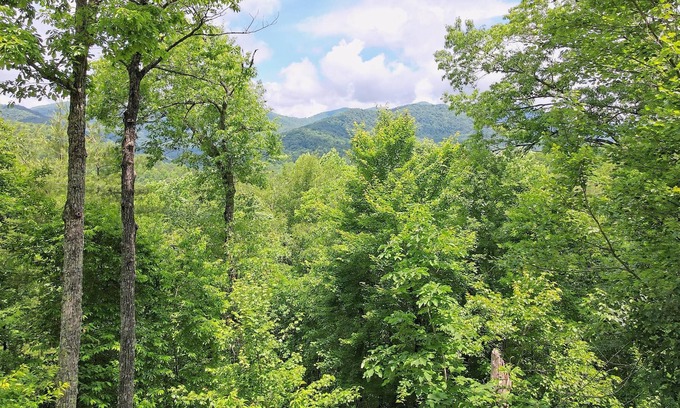 Hiawassee Cabina | Eagles Wings Hideaway with Spectacular Views