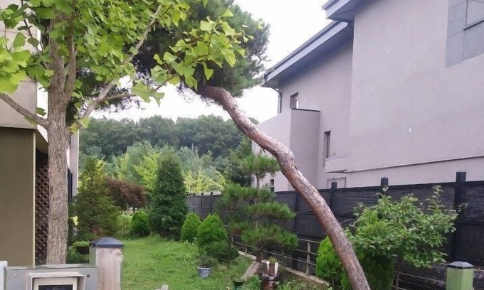 Paju Casa | Cuchara 'COME, ORE, AME'