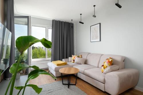 Jezyce Apartamento | Echo Nowe Jeżyce