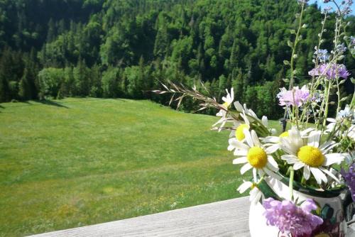 Schneizlreuth Apartamento | Eckarthof