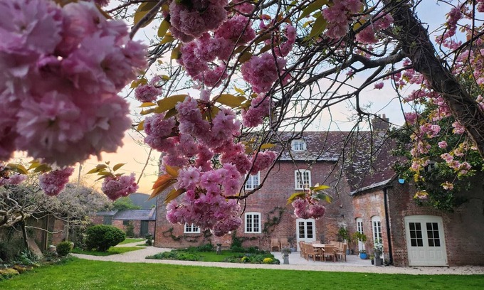 Blandford Saint Mary Casa | Eclectic Dorset Country House, Hot Tub, Pool Table, Movie Room,12 guests & pets