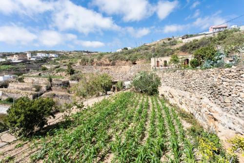 Fasnia Casa | Eco Holidays House Raíces