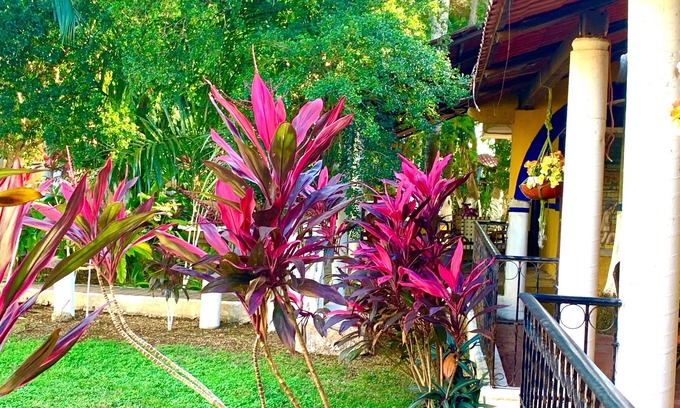 Izamal Hotel | Eco Hotel Green River