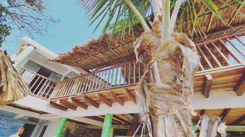 Isla Fuerte Casa | eco hotel lili