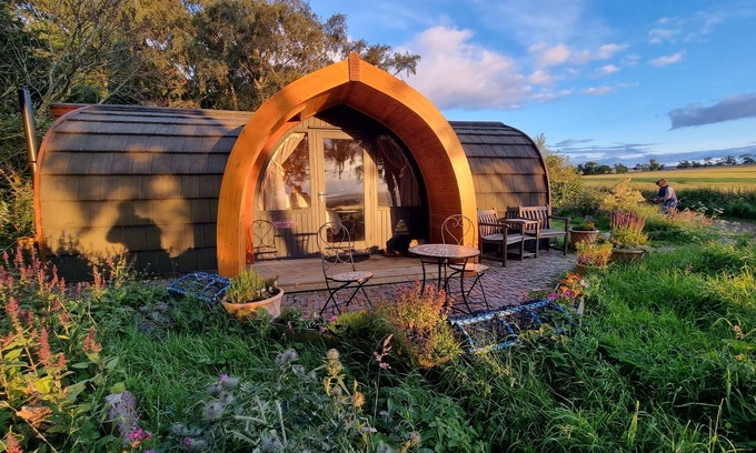 Dunbar Cabina | Eco Indigo