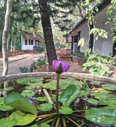 Moragaswewa Cabina | Eco Nature Lodge - Habarana
