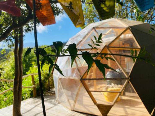 San Jose De Los Llanos Complejo | Eco-Resort Domo Maestra