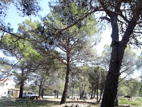 Cunski Apartamento | Eco Secluded apartments Zabodarski