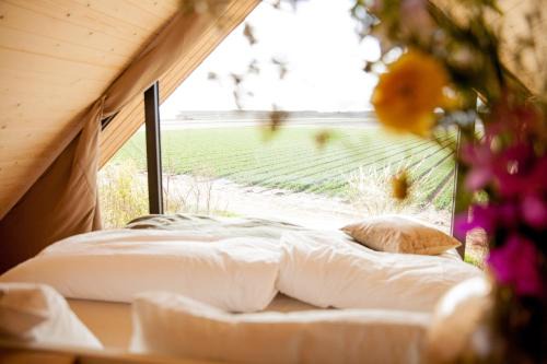 t Zand Casa | Ecohome Golf 8pers and baby Zeezand Recreatie