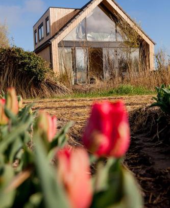 t Zand Casa | Ecohome Storm 8personen en baby Zeezand Recreatie